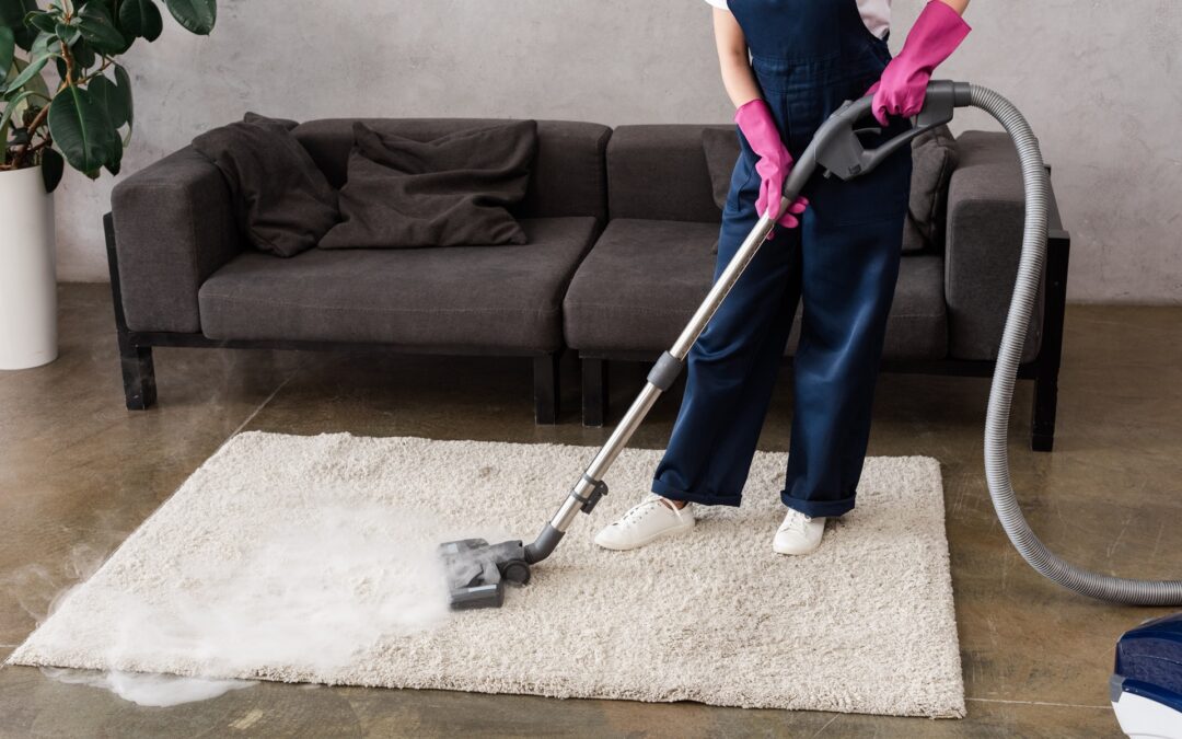 What to Expect From Your Carpet Cleaning Appointment: A Step-by-Step Guide