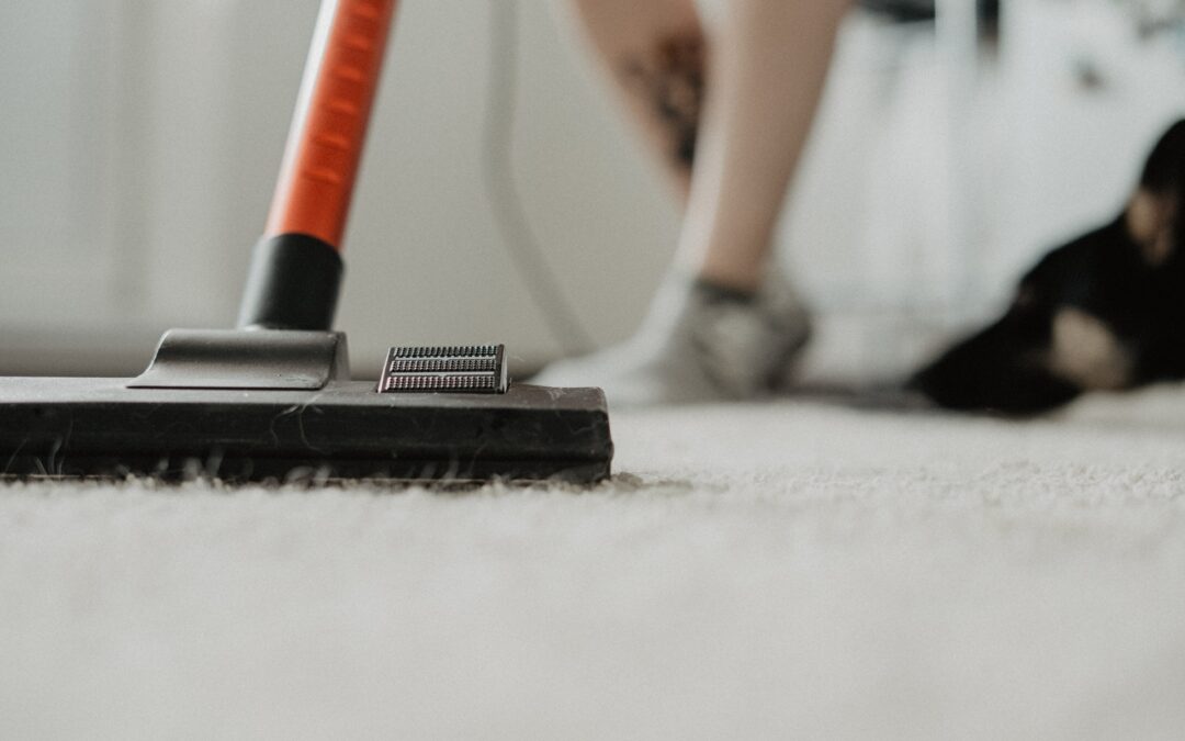 DIY Carpet Cleaning Myths Debunked: Trust the Professionals at Monster Clean