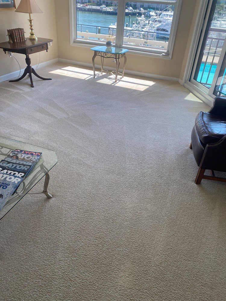 Carpet Cleaning Virginia Beach