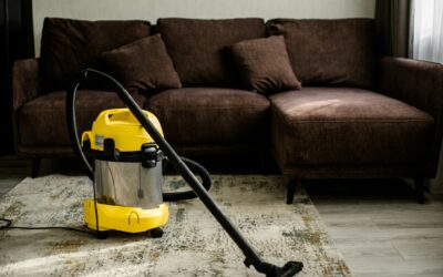 Combat Carpet Water Damage: Your Comprehensive Step-by-Step Guide