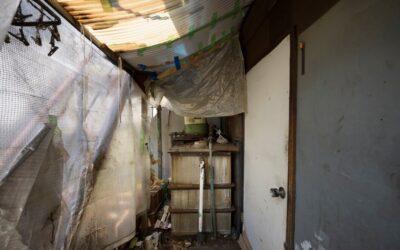 Safeguard Your Property with Monster Clean’s Expert Water Damage Restoration Services