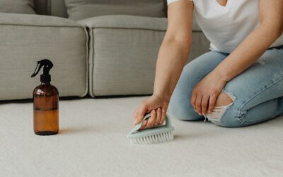 Expert Advice: Top Tips to Maintain Your Carpets Between Professional Cleanings