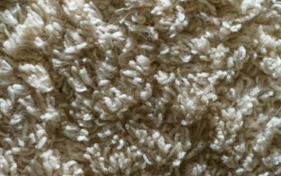 Carpet Care 101: The Ultimate Guide for Different Carpet Fibers