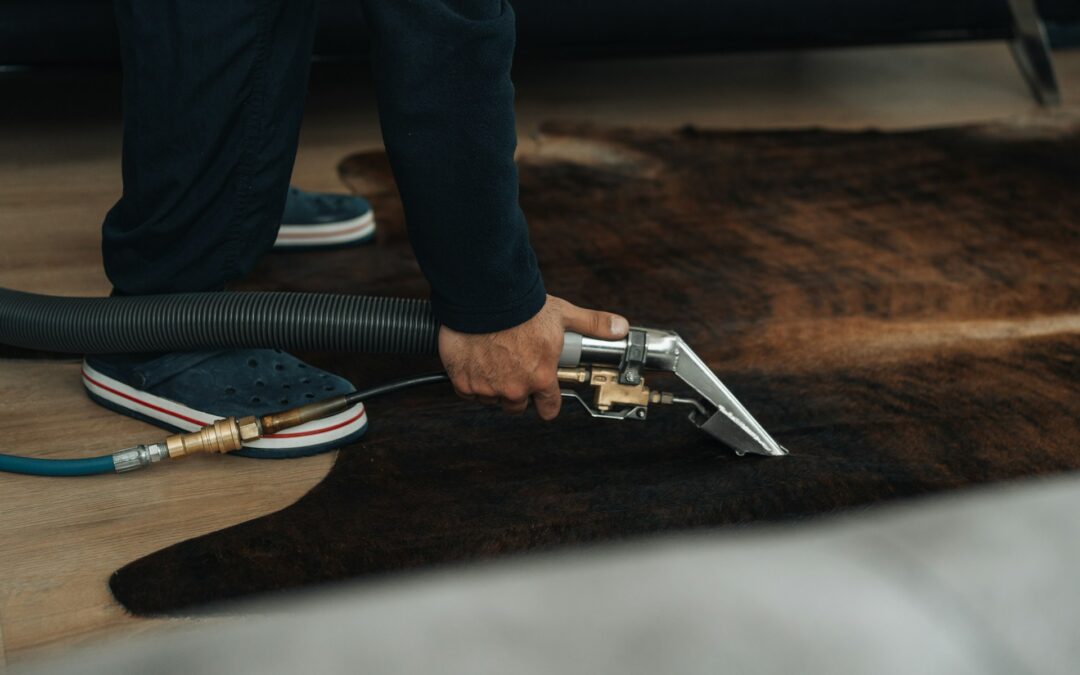 Carpet Cleaning vs. Rug Cleaning: Differences, Benefits and Choosing the Right Service