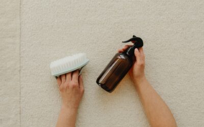 Comparing Top Carpet Cleaning Equipment: Find the Best Choice for Your Home