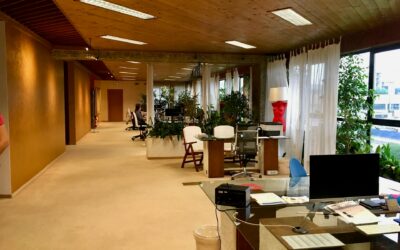 Why Clean Office Carpets Boost Employee Productivity