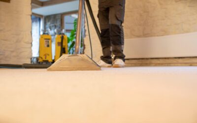 Eliminating Stubborn Food Stains in Restaurant Carpets