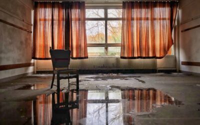 What to Do Immediately After Water Damage in Your Norfolk Home